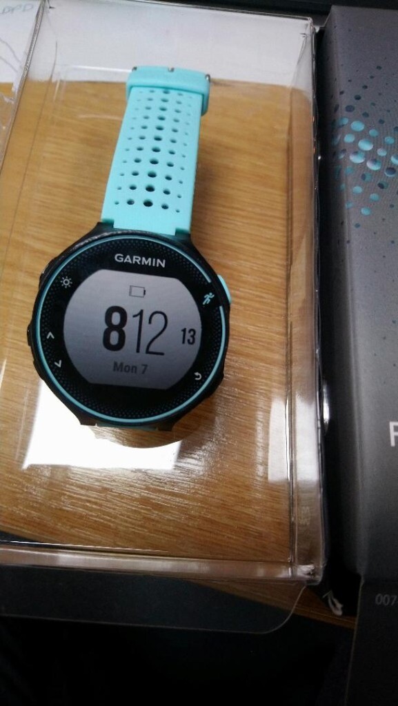 garmin forerunner 234